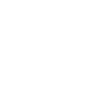 roku